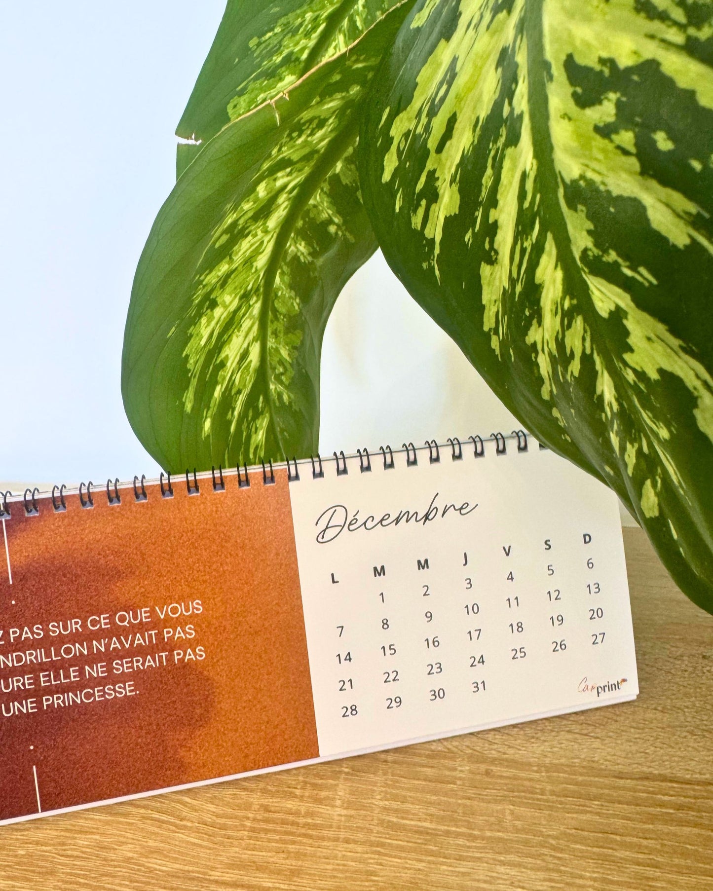 Calendrier de Bureau Panoramique Personnalisable (10 x 30 cm)