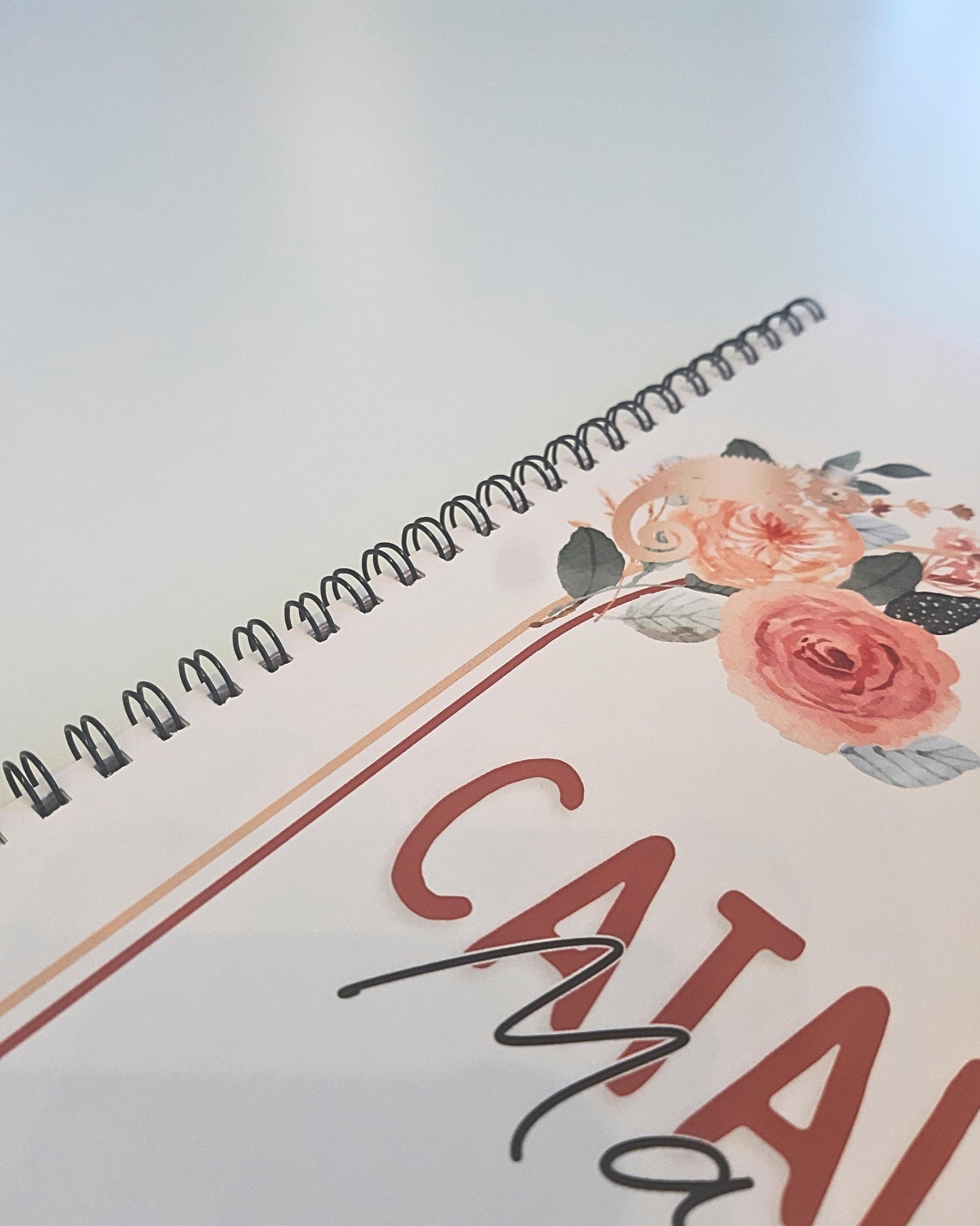 Reliures par anneaux